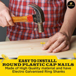 2,000 Pack #12 x 1 in. Plastic Round Cap Roofing Nail