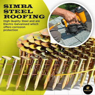 Roofing Nails