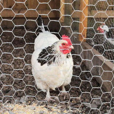 Commercial Poultry Mesh