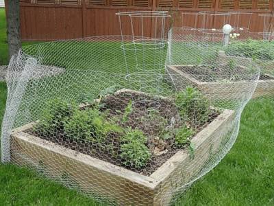 Garden Projects