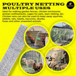 Galvanized Poultry Net - Fencing Chicken Wire 2
