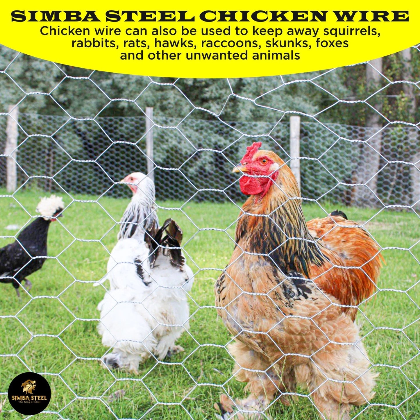 Chicken Wire 1" Hole - 12" - 72" Poultry Mesh Galvanized Poultry Net - Fencing