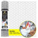Chicken Wire 1