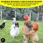 Galvanized Poultry Net - Fencing Chicken Wire 2