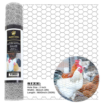 Galvanized Poultry Net - Fencing Chicken Wire 2" Hole - Many Sizes Poultry Mesh