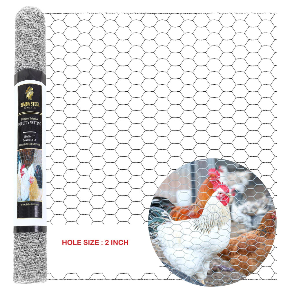 Galvanized Poultry Net - Fencing Chicken Wire 2