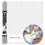 Galvanized Poultry Net - Fencing Chicken Wire 2